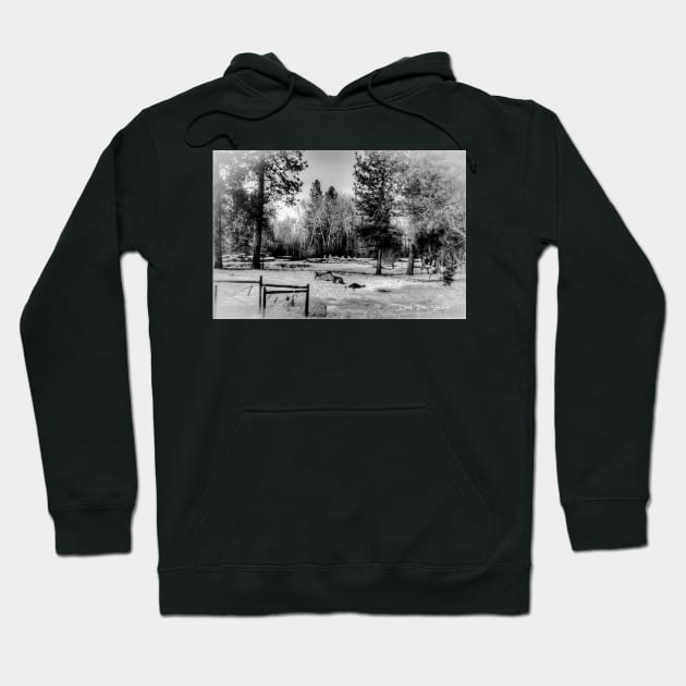 Snow Horses - Black And White Hoodie by davidbstudios